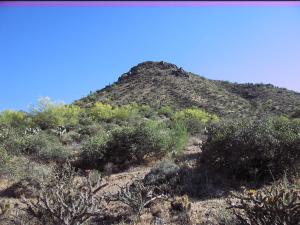 Desert Crest 3 74