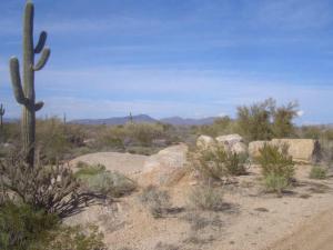 Pinnacle Peak Ranchos 22