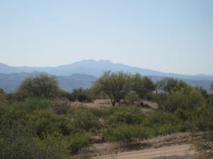 Sunrise Desert Vistas 3