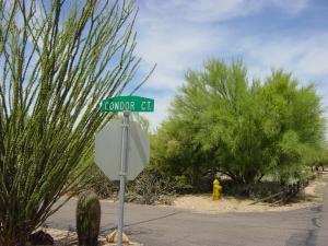 Rio Verde 624&625