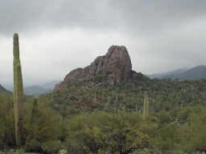 0 Elephant Butte Road