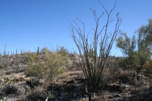 0 Elephant Butte Road