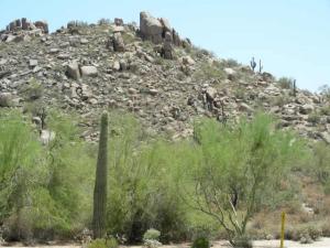 Winfield Patio Homes home for sale