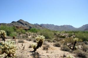 Custom Homes at DC Ranch 810