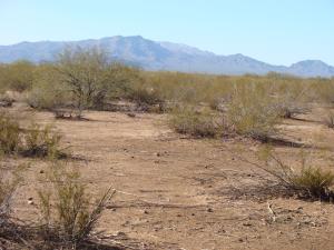 51420 459th Part of Lot #20 Avenue