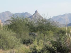 Pinnacle Peak Ranchos 10