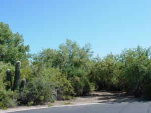 Troon Ridge Estates 3/4 69