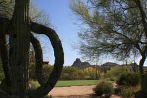 Monument at Troon North 327