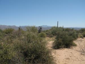 Sunrise Desert Vistas N/A