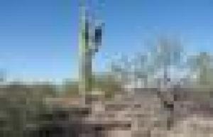 Pinnacle Peak Ranchos 34