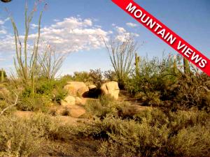 Pinnacle Peak Ranchos 53