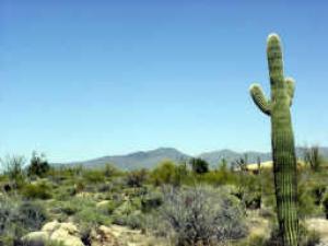 Other Boulder Area Property 1