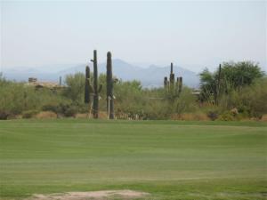 Desert Highlands 916