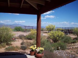 Granite Mountain Area Non-HOA Property home for sale
