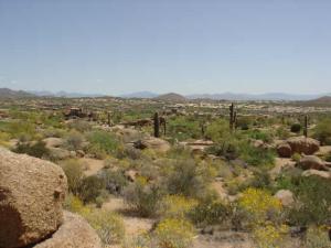 Pinnacle Canyon at Troon North 27