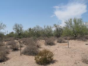 Whisper Rock 35