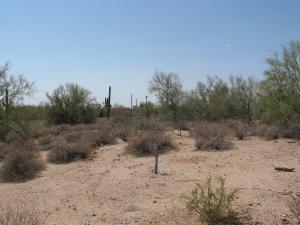 Whisper Rock 48