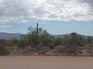 South of Rio Verde 219-38-003T