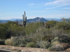 Pinnacle Canyon at Troon North 17
