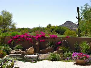 3638 SqFt - 3/3 bed/bath - $895,000