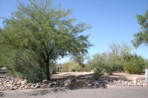 Rio Verde 658