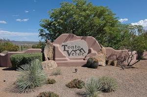 Tonto Verde home for sale