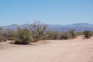 South of Rio Verde 0