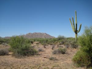 South of Rio Verde 3