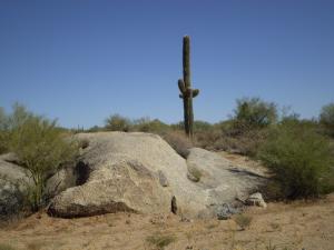 Other Boulder Area Property 1