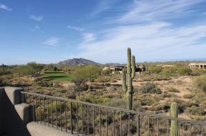 Gambel Quail home for sale