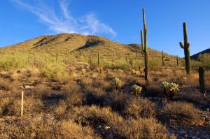Lost Canyon 11  &  12