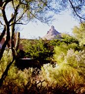 3000 SqFt - 3/2.5 bed/bath - $799,000