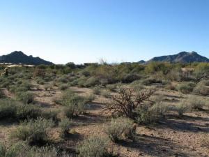 Whisper Rock 152