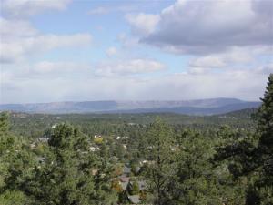 1103 ELK RIDGE Point, Payson, AZ, 85541, USA