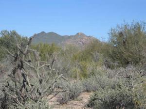 Whisper Rock 1