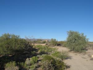 Whisper Rock 156