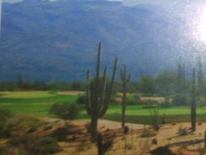 Vista Verde 166