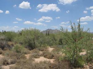 Whisper Rock 33