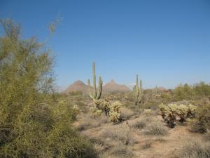 Pinnacle Peak Heights 4 6