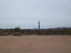 South of Rio Verde 1