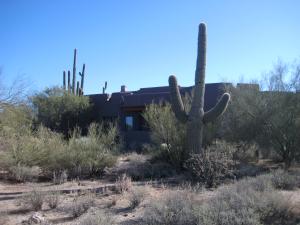 Sincuidados home for sale