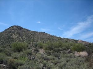 Desert Crest 3 76