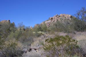 Tusayan Estates at Troon 67