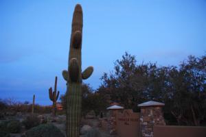 Pinnacle Peak Place 3