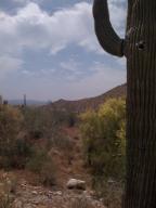 Upper Canyon at Silverleaf 1828