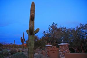 Pinnacle Peak Place 8