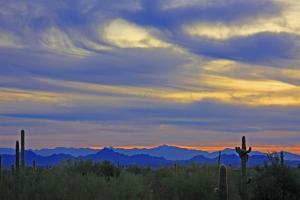 Pinnacle Peak Place 40