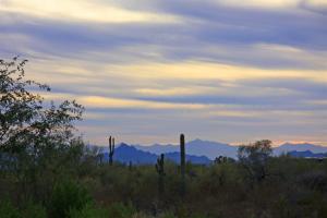 Pinnacle Peak Place 46
