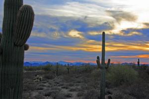 Pinnacle Peak Place 75