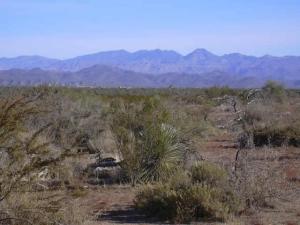 Non-HOA in Dynamite Foothills 1